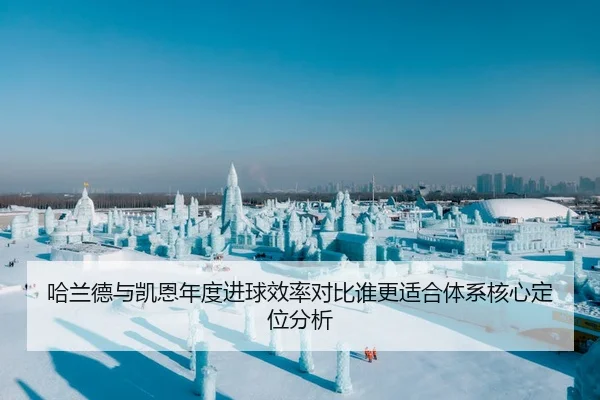 哈兰德与凯恩年度进球效率对比谁更适合体系核心定位分析
