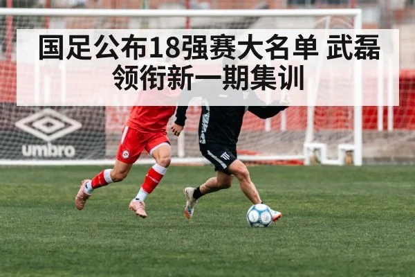 国足公布18强赛大名单 武磊领衔新一期集训