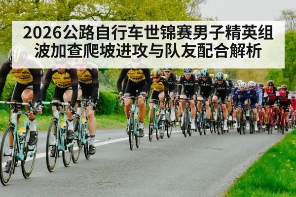 2026公路自行车世锦赛男子精英组 波加查爬坡进攻与队友配合解析