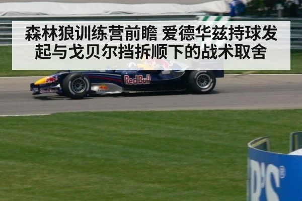 森林狼训练营前瞻 爱德华兹持球发起与戈贝尔挡拆顺下的战术取舍